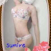 ヒメ日記 2026/01/26 09:06 投稿 すみれ 奥様電車