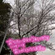 ヒメ日記 2025/04/05 10:05 投稿 むらさき 奥鉄オクテツ神奈川店（デリヘル市場グループ）