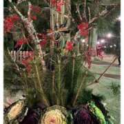 ヒメ日記 2025/01/01 22:37 投稿 あい ギン妻パラダイス 堺東店