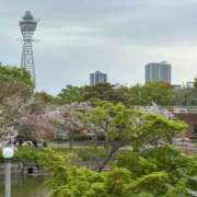 ヒメ日記 2025/04/19 10:56 投稿 あい ギン妻パラダイス 堺東店