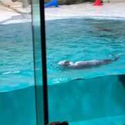 ヒメ日記 2025/05/17 11:08 投稿 あい ギン妻パラダイス 堺東店