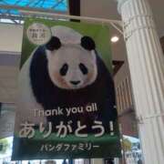 ヒメ日記 2025/06/05 10:01 投稿 あい ギン妻パラダイス 堺東店