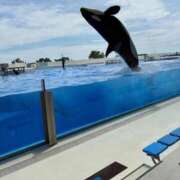 ヒメ日記 2025/08/29 09:44 投稿 あい ギン妻パラダイス 堺東店