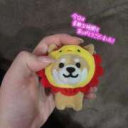 ヒメ日記 2025/09/13 07:20 投稿 ひめか チューリップ熊本店