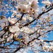 ヒメ日記 2024/04/13 16:08 投稿 じゅんな 奥さま未来　立川店