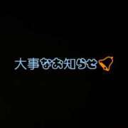 ヒメ日記 2025/01/09 16:36 投稿 おうか アラモード