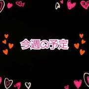 ヒメ日記 2025/08/31 09:15 投稿 おうか アラモード