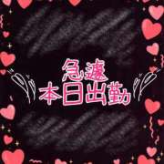 ヒメ日記 2026/01/08 11:11 投稿 おうか アラモード