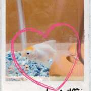 ヒメ日記 2025/03/04 07:50 投稿 真田　みさ 福岡ホットポイント