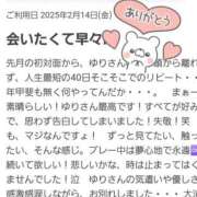 ヒメ日記 2025/02/23 16:56 投稿 白木友梨(しらきゆり) 姫路マダム大奥