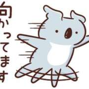 ヒメ日記 2025/01/11 13:53 投稿 朝井 AROMA VENUS