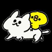 ヒメ日記 2025/01/19 14:27 投稿 朝井 AROMA VENUS