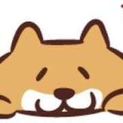 ヒメ日記 2025/03/23 18:19 投稿 朝井 AROMA VENUS