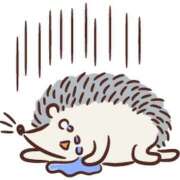 ヒメ日記 2025/06/28 13:08 投稿 朝井 AROMA VENUS