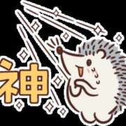 ヒメ日記 2025/07/11 14:21 投稿 朝井 AROMA VENUS