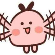 ヒメ日記 2025/09/20 15:41 投稿 朝井 AROMA VENUS