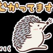 ヒメ日記 2026/04/30 15:36 投稿 朝井 AROMA VENUS