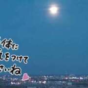 ヒメ日記 2025/02/11 19:08 投稿 香坂 シャトーペトラ