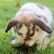 ヒメ日記 2025/06/13 07:40 投稿 香坂 シャトーペトラ