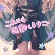 ヒメ日記 2025/07/18 08:32 投稿 香坂 シャトーペトラ