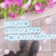 ヒメ日記 2026/04/19 23:05 投稿 香坂 シャトーペトラ