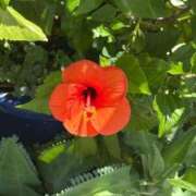 ヒメ日記 2025/09/13 09:46 投稿 つゆ 逆痴漢