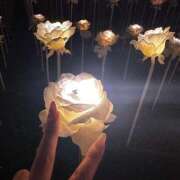 ヒメ日記 2024/12/25 00:17 投稿 みえ One More 奥様　五反田店