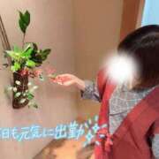 ヒメ日記 2025/01/29 17:42 投稿 みえ One More 奥様　五反田店