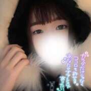 ヒメ日記 2025/02/05 14:17 投稿 みえ One More 奥様　五反田店