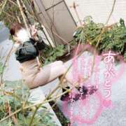 ヒメ日記 2025/02/06 12:48 投稿 みえ One More 奥様　五反田店