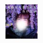 ヒメ日記 2025/04/04 16:07 投稿 みえ One More 奥様　五反田店