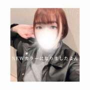 ヒメ日記 2025/04/07 13:01 投稿 みえ One More 奥様　五反田店