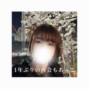 ヒメ日記 2025/04/08 08:37 投稿 みえ One More 奥様　五反田店