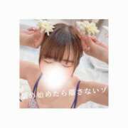 ヒメ日記 2025/04/10 12:40 投稿 みえ One More 奥様　五反田店