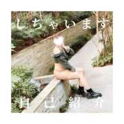 ヒメ日記 2025/04/13 15:19 投稿 みえ One More 奥様　五反田店