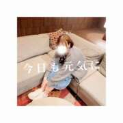 ヒメ日記 2025/05/08 15:07 投稿 みえ One More 奥様　五反田店