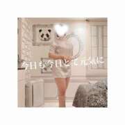 ヒメ日記 2025/05/24 16:17 投稿 みえ One More 奥様　五反田店