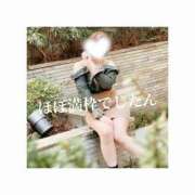 ヒメ日記 2025/05/27 17:20 投稿 みえ One More 奥様　五反田店