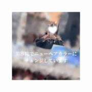 ヒメ日記 2026/02/02 17:37 投稿 みえ One More 奥様　五反田店