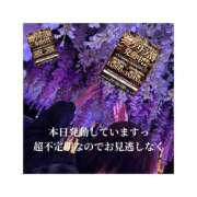 ヒメ日記 2026/02/27 13:18 投稿 みえ One More 奥様　五反田店