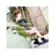 ヒメ日記 2026/02/28 13:37 投稿 みえ One More 奥様　五反田店