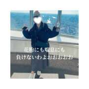 みえ レベルアップ⤴️⤴️ One More 奥様　五反田店