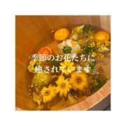 ヒメ日記 2026/03/08 18:57 投稿 みえ One More 奥様　五反田店