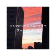 ヒメ日記 2026/03/31 15:47 投稿 みえ One More 奥様　五反田店