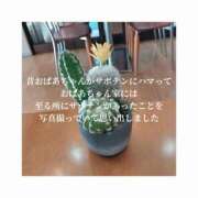 ヒメ日記 2026/04/06 17:57 投稿 みえ One More 奥様　五反田店