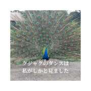 ヒメ日記 2026/04/15 23:17 投稿 みえ One More 奥様　五反田店