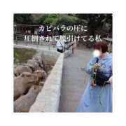 ヒメ日記 2026/04/16 23:27 投稿 みえ One More 奥様　五反田店