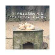 ヒメ日記 2026/05/03 20:47 投稿 みえ One More 奥様　五反田店