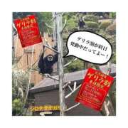 ヒメ日記 2026/05/18 16:30 投稿 みえ One More 奥様　五反田店