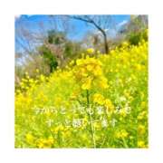 ヒメ日記 2026/06/13 22:47 投稿 みえ One More 奥様　五反田店